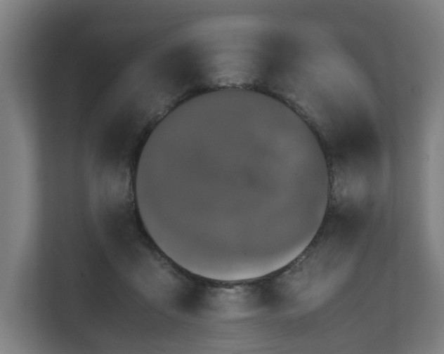 X0000111120411200907071001