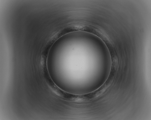 X0000111120412200907071001