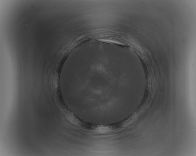 X0000111120413200907071001