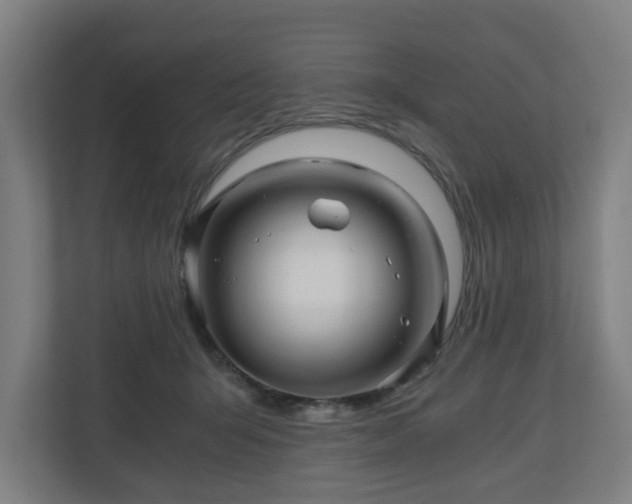 X0000111120415200907071001