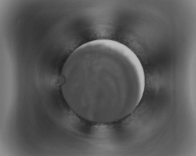 X0000111120419200907071001