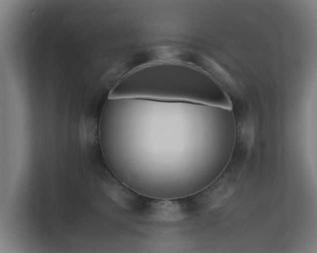 X0000111120421200907071001