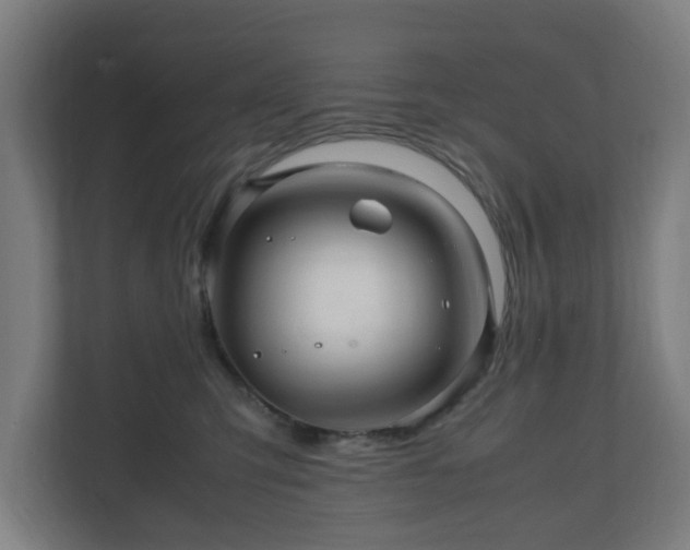 X0000111120423200907071001