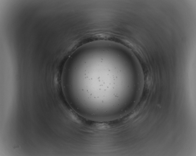 X0000111120424200907071001