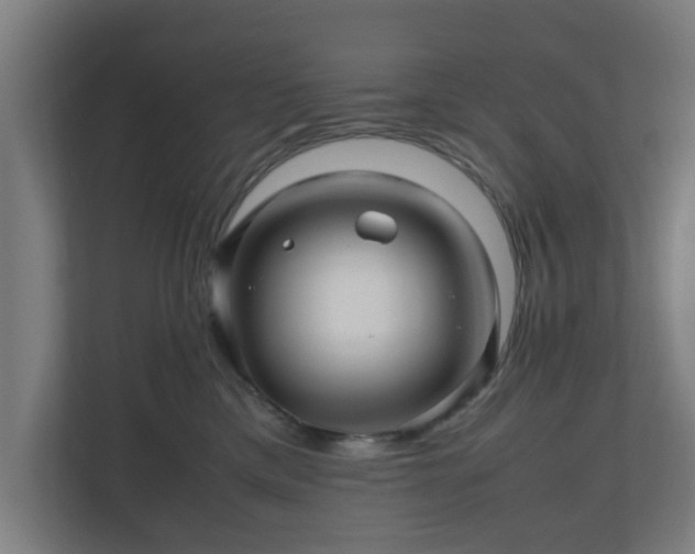 X0000111120425200907071001