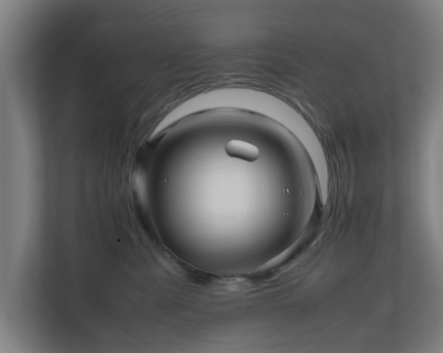 X0000111120427200907071001