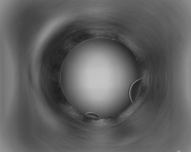 X0000111120430200907071001