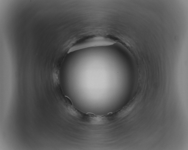 X0000111120432200907071001