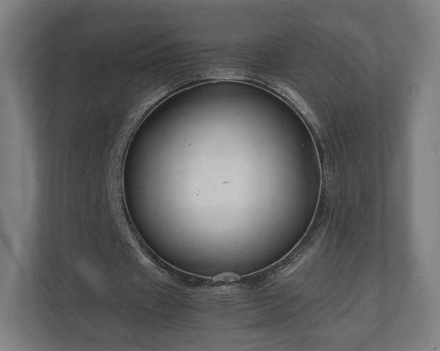 X0000111120433200907071001