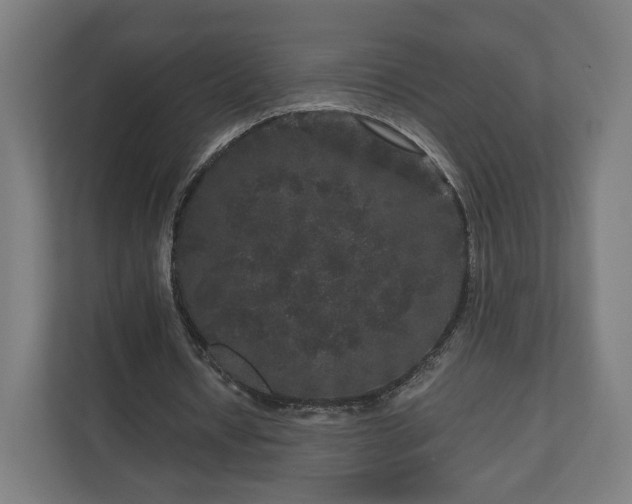 X0000111120434200907071001