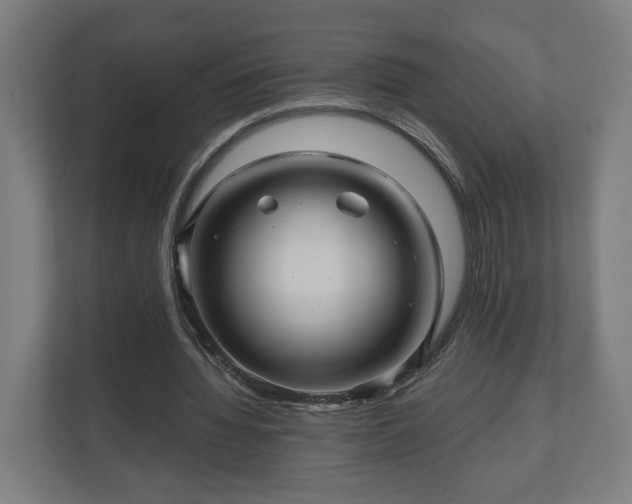 X0000111120436200907071001