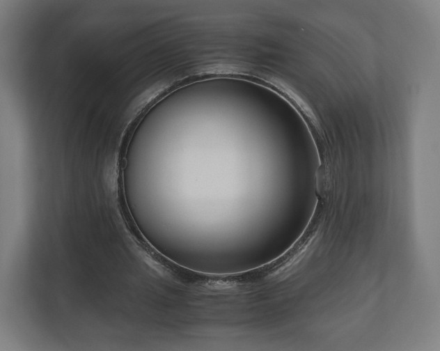 X0000111120437200907071001