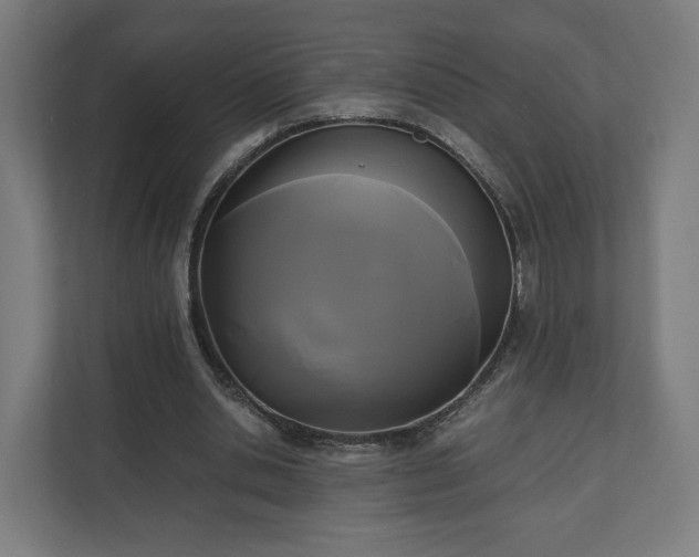 X0000111120438200907071001