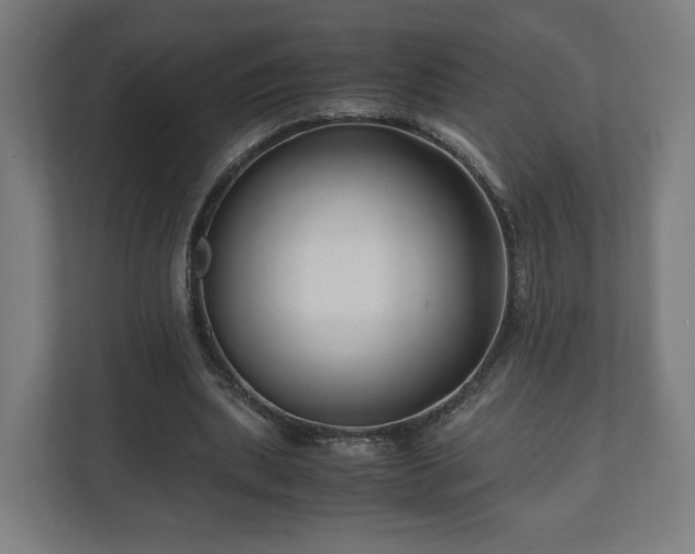 X0000111120439200907071001