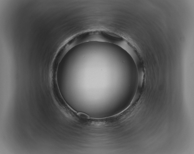 X0000111120440200907071001