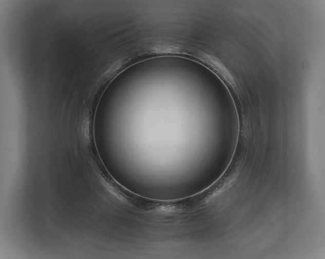 X0000111120441200907071001