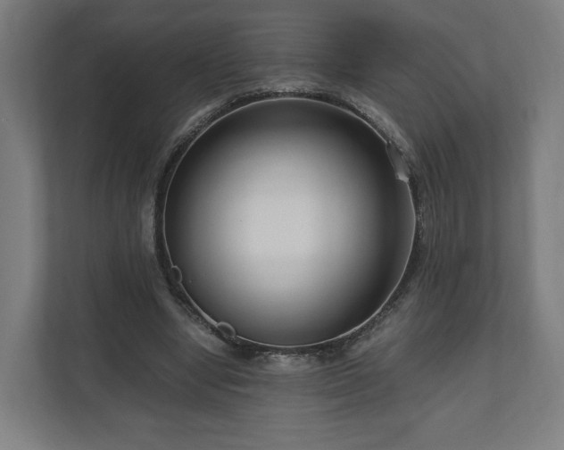 X0000111120442200907071001