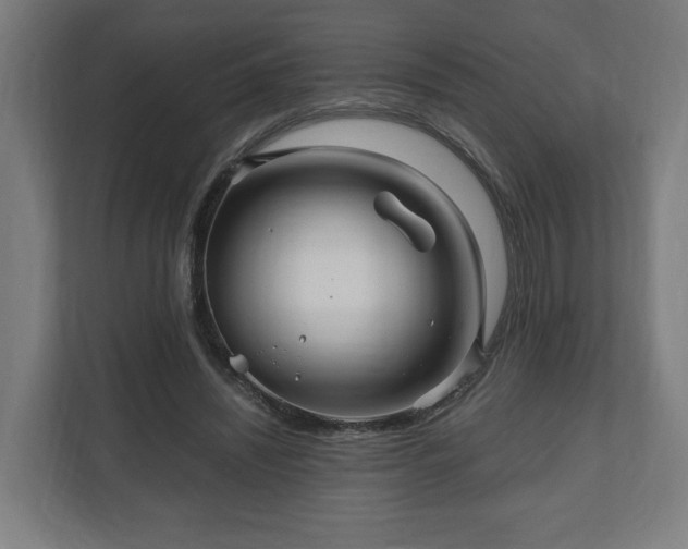 X0000111120444200907071001