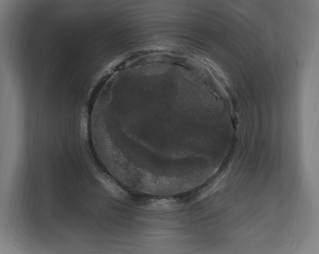 X0000111120446200907071001