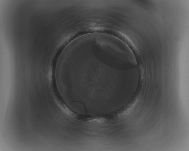 X0000111120447200907071001