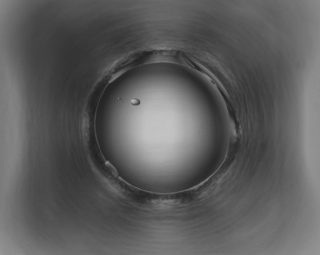 X0000111120448200907071001