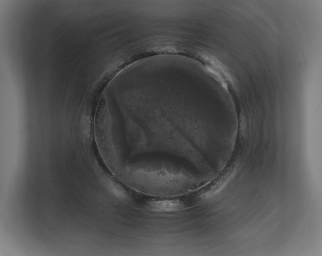 X0000111120449200907071001