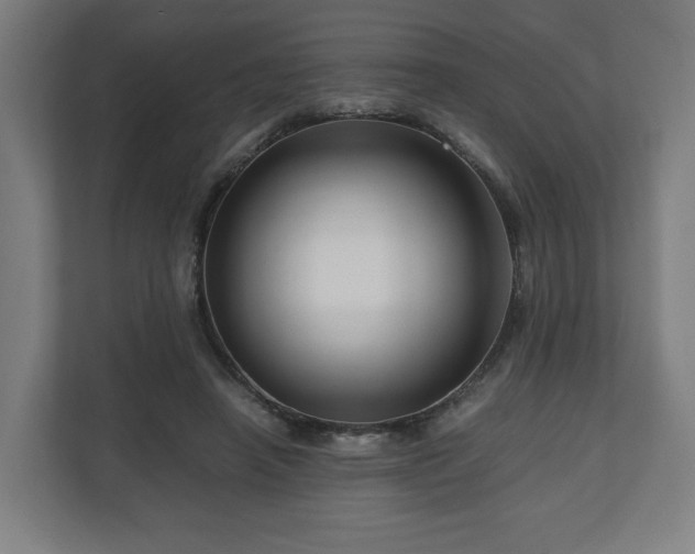 X0000111120450200907071001