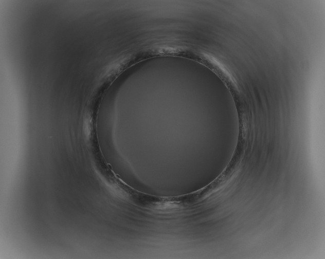 X0000111120451200907071001