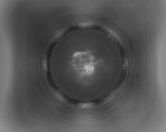 X0000111120452200907071001