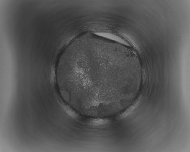 X0000111120453200907071001