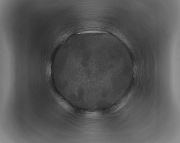 X0000111120454200907071001