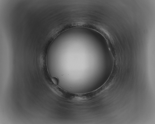 X0000111120455200907071001