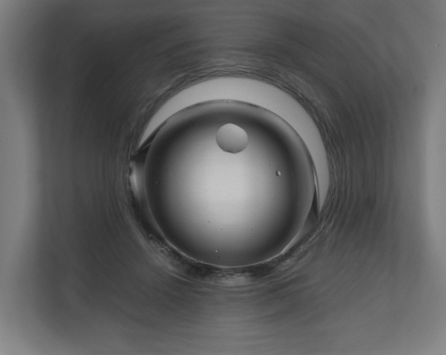 X0000111120456200907071001