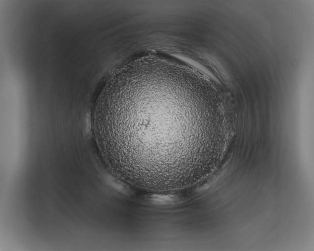 X0000111120457200907071001