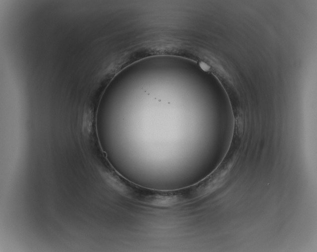 X0000111120458200907071001