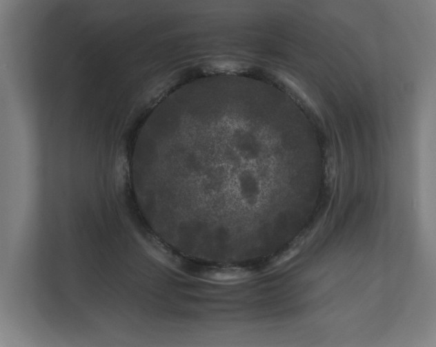 X0000111120459200907071001