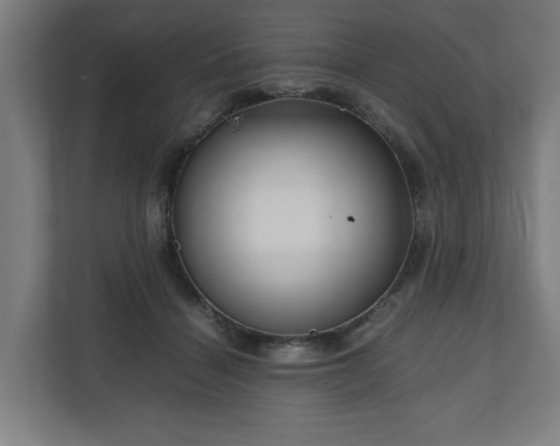 X0000111120460200907071001