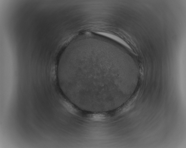 X0000111120462200907071001