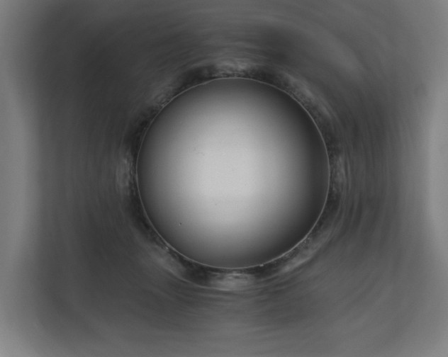 X0000111120463200907071001