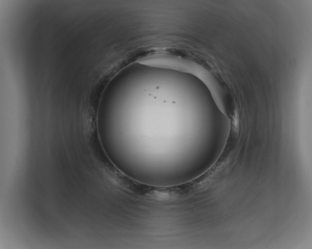 X0000111120464200907071001