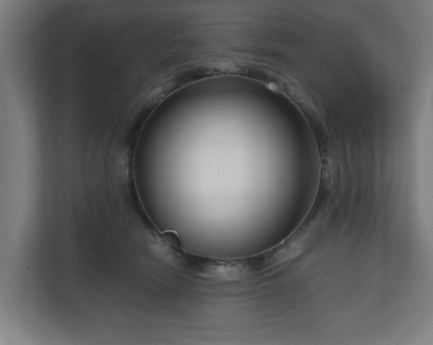 X0000111120466200907071001