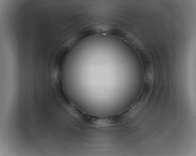 X0000111120468200907071001