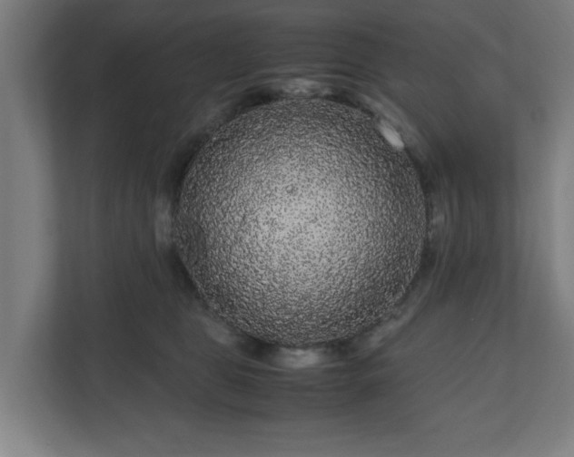 X0000111120469200907071001