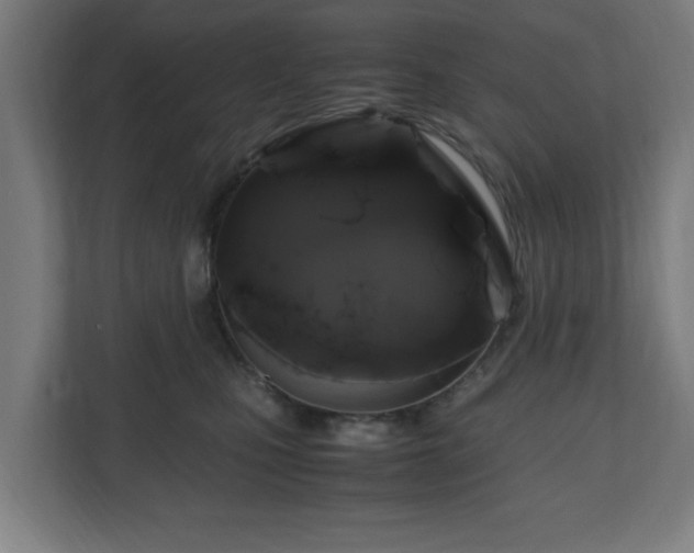 X0000111120471200907071001