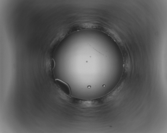 X0000111120473200907071001