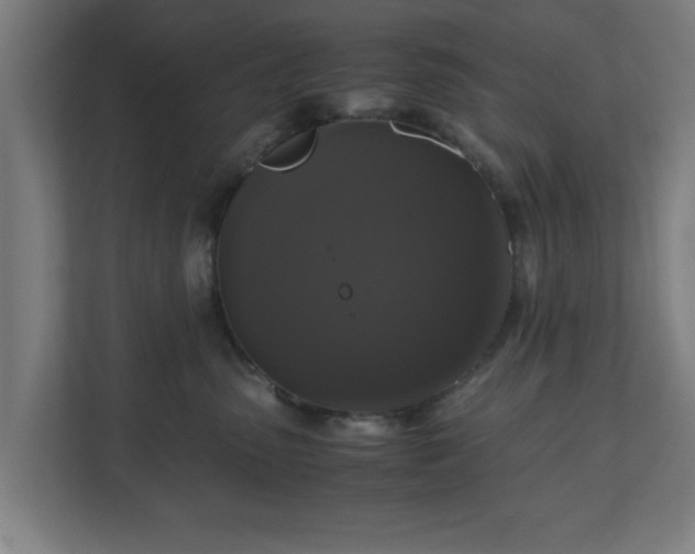 X0000111120475200907071001