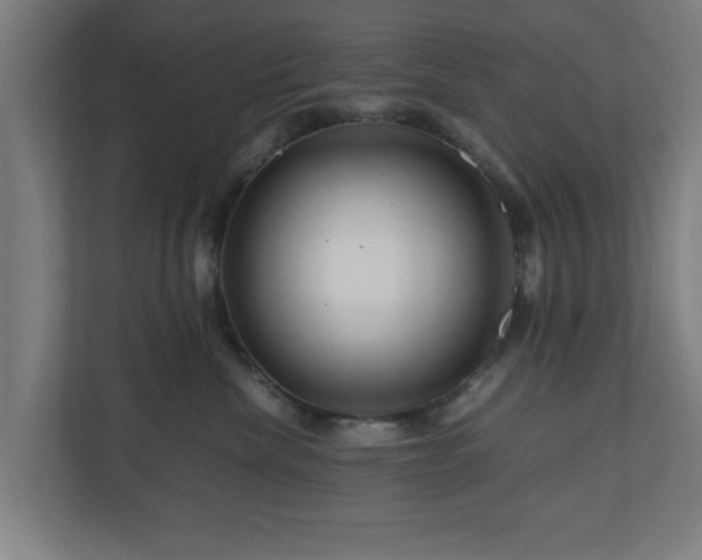 X0000111120476200907071001