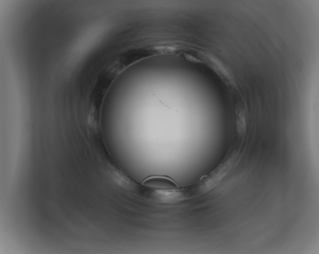 X0000111120477200907071001