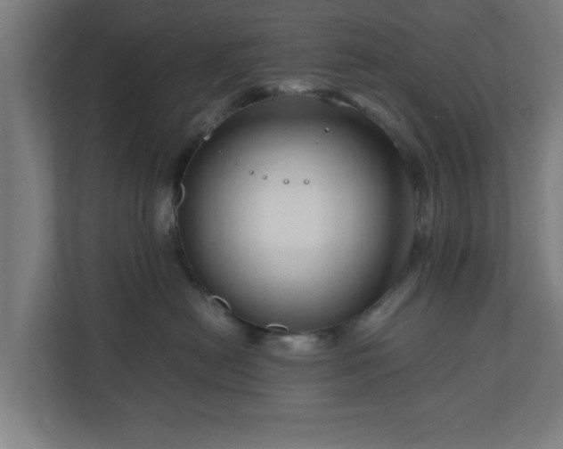 X0000111120478200907071001