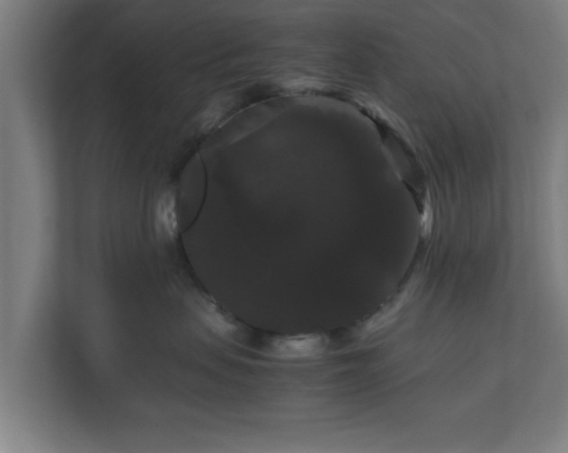 X0000111120479200907071001